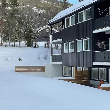 Cozy In Hemsedal. Appartamento *